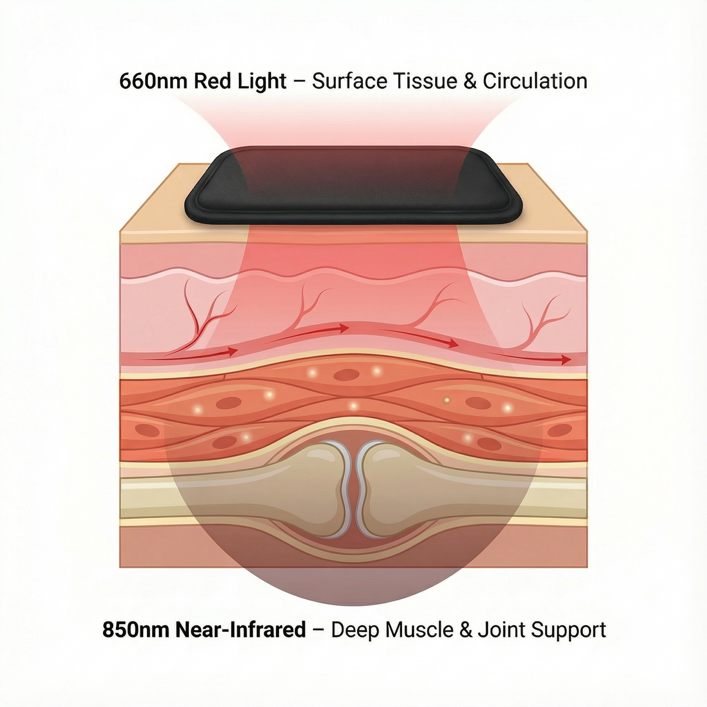 RejuvaPad™ Red Light Therapy Pad